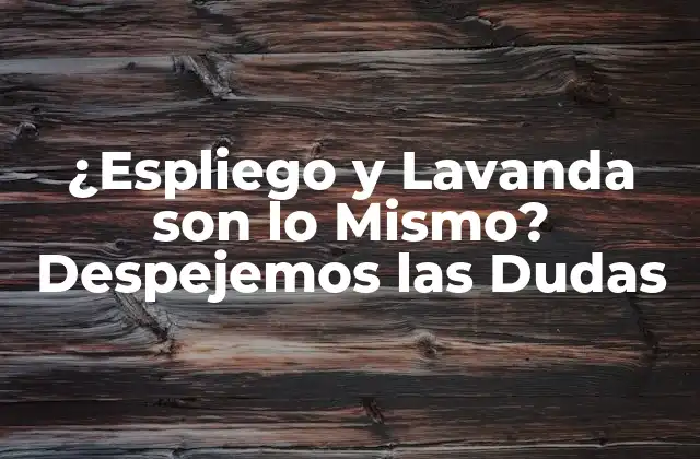 ¿espliego y Lavanda Son Lo Mismo? Despejemos las Dudas