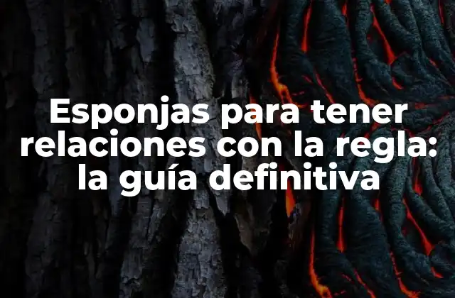 Esponjas para Tener Relaciones con la Regla: la Guía Definitiva