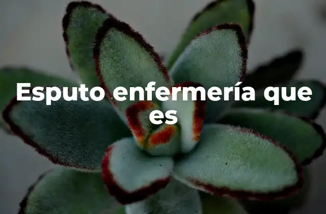 Esputo Enfermería que es