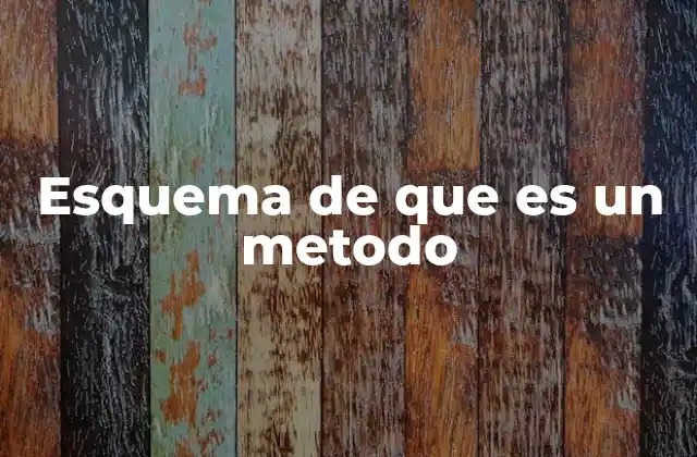 Esquema de que es un Metodo