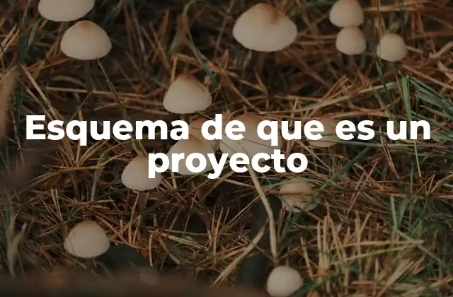 Esquema de que es un Proyecto