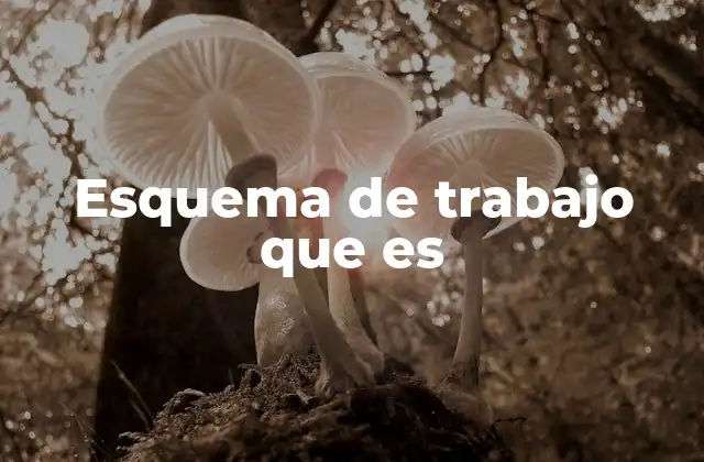 Esquema de Trabajo que es