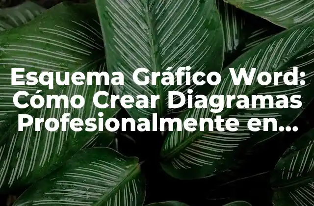 Esquema Gráfico Word: Cómo Crear Diagramas Profesionalmente en Microsoft Word