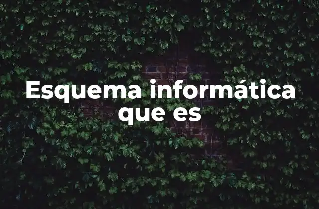 Esquema Informática que es