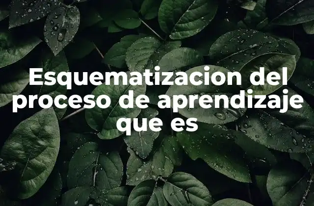 Esquematizacion Del Proceso de Aprendizaje que es