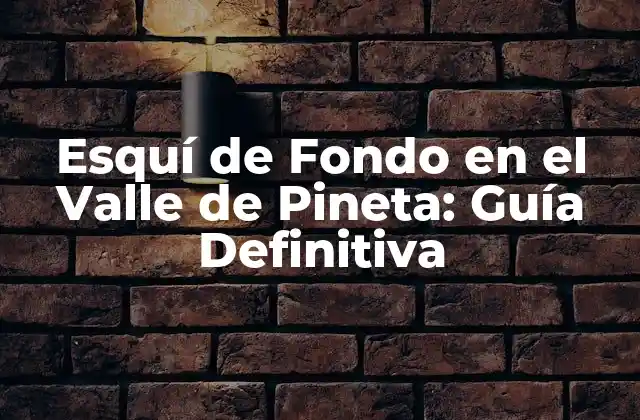 Esquí de Fondo en el Valle de Pineta: Guía Definitiva