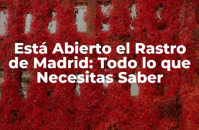Está Abierto el Rastro de Madrid: Todo Lo que Necesitas Saber