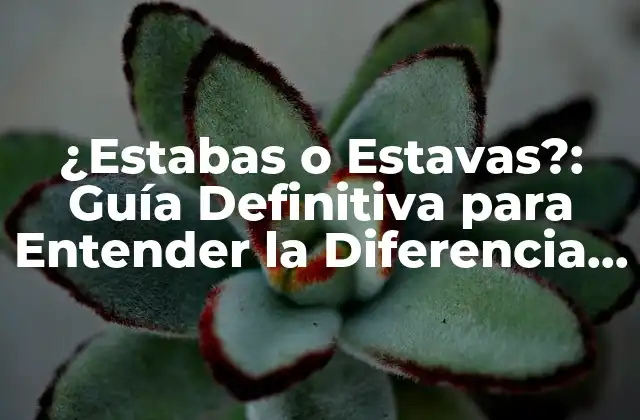 ¿estabas o Estavas?: Guía Definitiva para Entender la Diferencia entre Estos Verbos Españoles