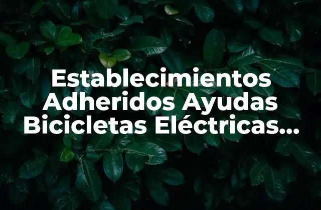 Establecimientos Adheridos Ayudas Bicicletas Eléctricas Galicia: Guía Completa