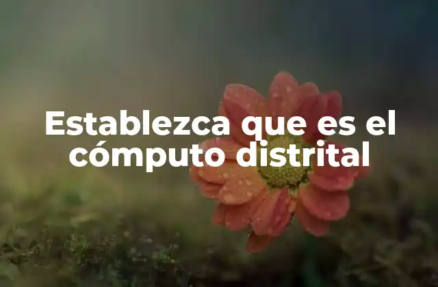 Establezca que es el Cómputo Distrital