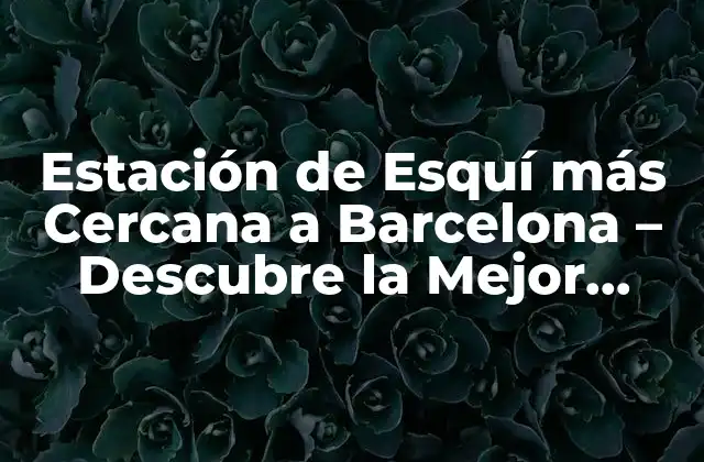 Estación de Esquí Más Cercana a Barcelona – Descubre la Mejor Opción