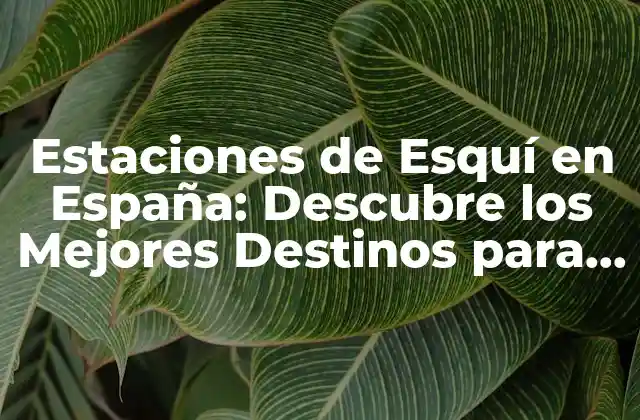 Estaciones de Esquí en España: Descubre los Mejores Destinos para Esquiar