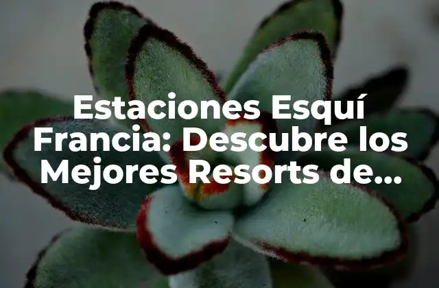 Estaciones Esquí Francia: Descubre los Mejores Resorts de Esquí en Francia