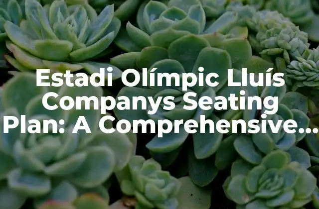 Estadi Olímpic Lluís Companys Seating Plan: a Comprehensive Guide