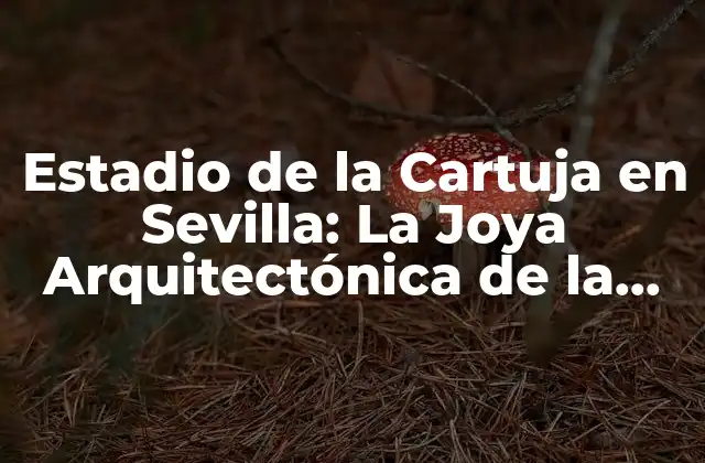 Estadio de la Cartuja en Sevilla: la Joya Arquitectónica de la Ciudad
