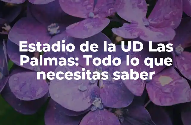 Estadio de la Ud las Palmas: Todo Lo que Necesitas Saber
