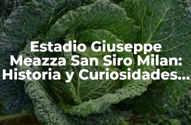 Estadio Giuseppe Meazza San Siro Milan: Historia y Curiosidades Del Iconico Estadio de Fútbol