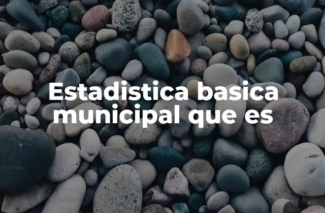 Estadistica Basica Municipal que es