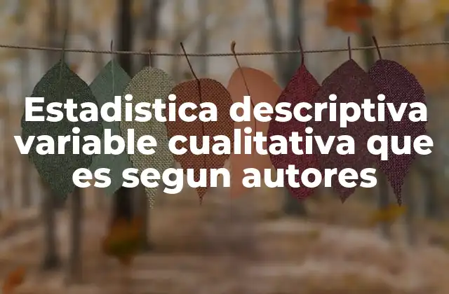 La importancia de las variables cualitativas en el análisis de datos