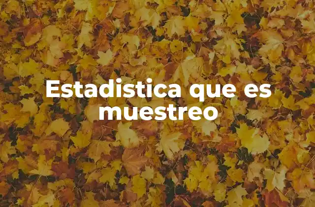 Estadistica que es Muestreo