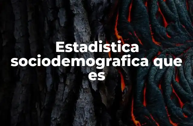 Estadistica Sociodemografica que es
