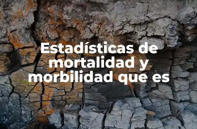 Estadísticas de Mortalidad y Morbilidad que es