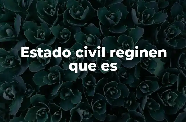 Estado Civil Reginen que es