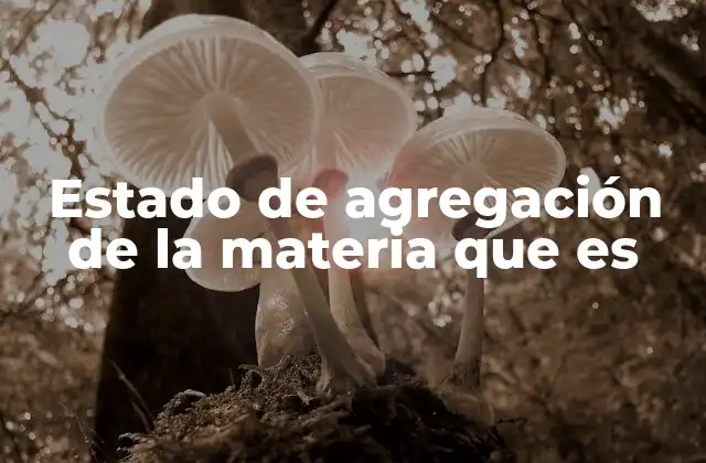 Estado de Agregación de la Materia que es