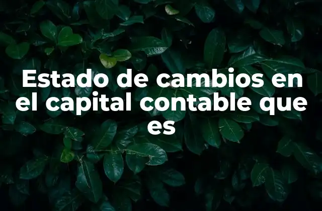 Estado de Cambios en el Capital Contable que es