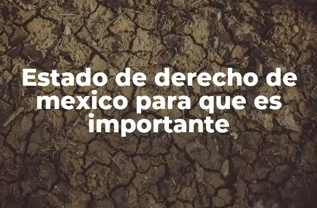 Estado de Derecho de Mexico para que es Importante