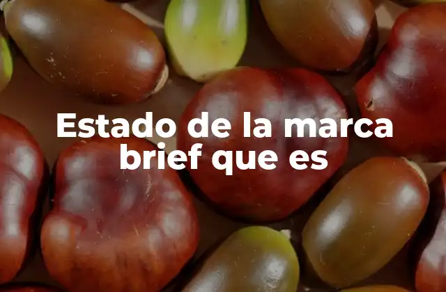 Estado de la Marca Brief que es