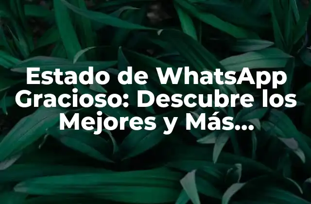 Estado de Whatsapp Gracioso: Descubre los Mejores y Más Divertidos