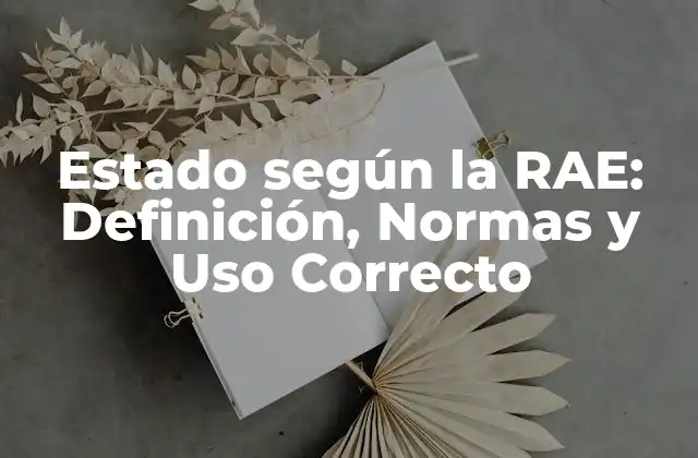 Estado según la Rae: Definición, Normas y Uso Correcto
