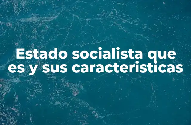 La estructura del modelo socialista