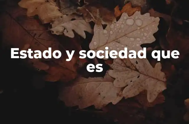 Estado y Sociedad que es