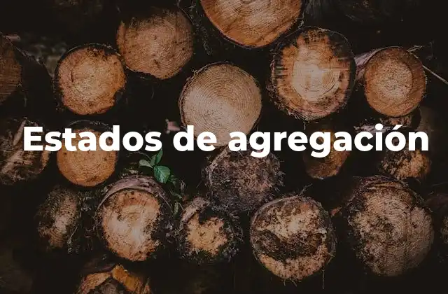 Estados de Agregación
