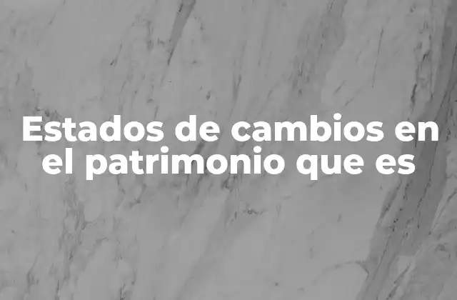 Estados de Cambios en el Patrimonio que es