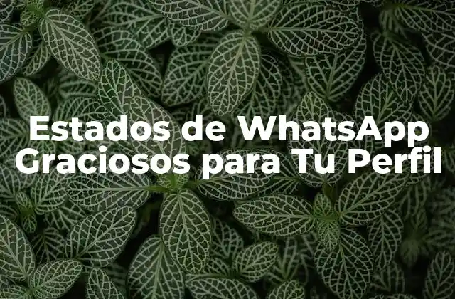 ¿Por qué los Estados de WhatsApp Graciosos son Importantes?