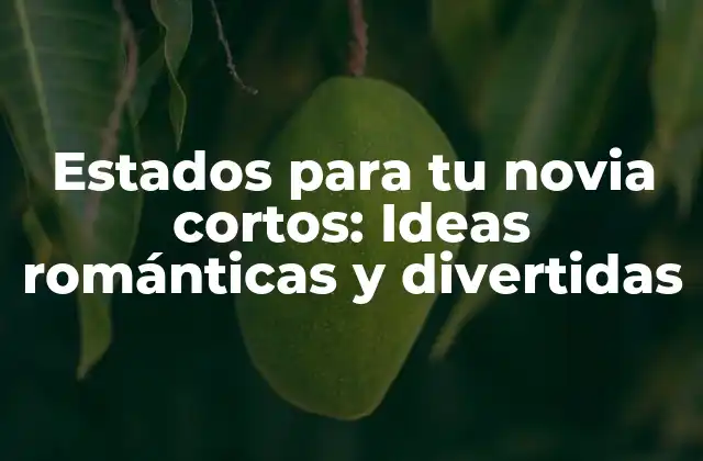 Estados para Tu Novia Cortos: Ideas Románticas y Divertidas