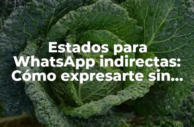 Estados para Whatsapp Indirectas: Cómo Expresarte sin Decirlo Todo