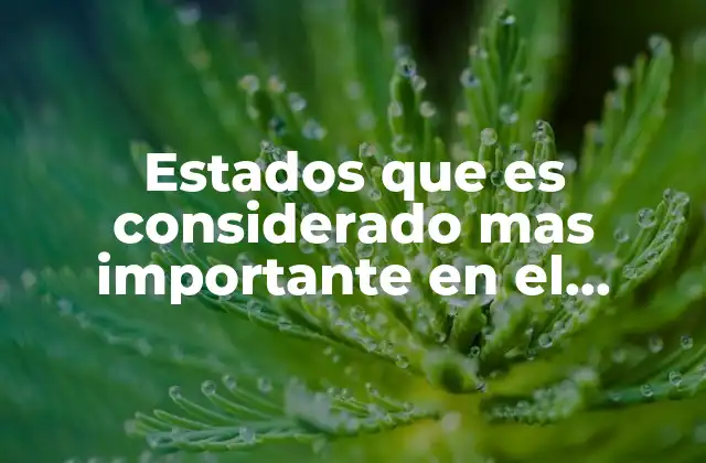 Estados que es Considerado mas Importante en el Turismo