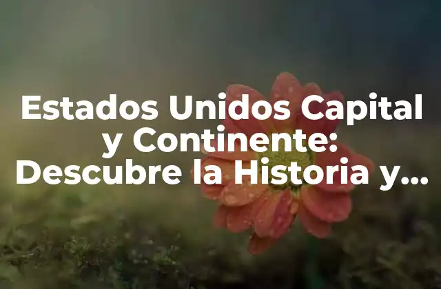 Estados Unidos Capital y Continente: Descubre la Historia y la Geografía