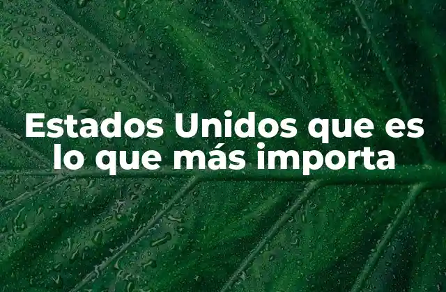 Estados Unidos que es Lo que Más Importa