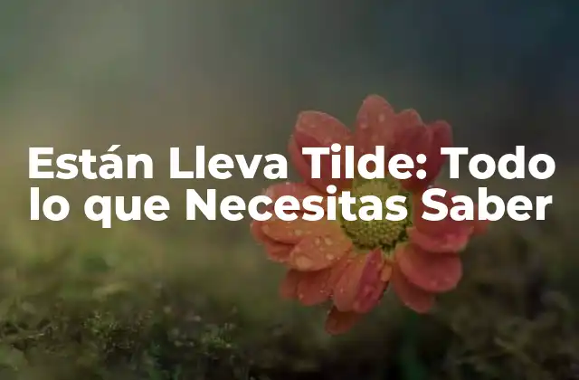 Están Lleva Tilde: Todo Lo que Necesitas Saber