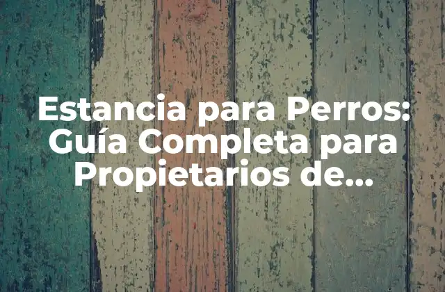 Estancia para Perros: Guía Completa para Propietarios de Mascotas 2 ¿Por qué es importante la Estancia para Perros?