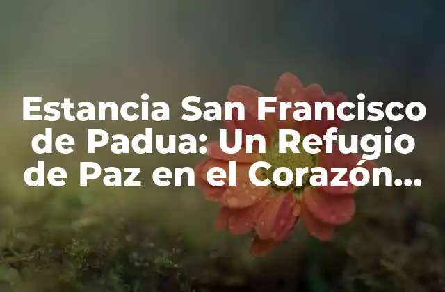 Estancia San Francisco de Padua: un Refugio de Paz en el Corazón de la Ciudad