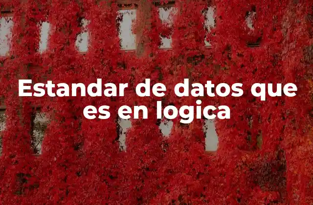 La importancia de los estándares de datos en la representación lógica