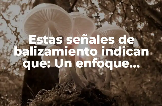 Estas Señales de Balizamiento Indican Que: un Enfoque Detallado sobre la Navegación Marítima