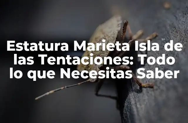 Estatura Marieta Isla de las Tentaciones: Todo Lo que Necesitas Saber