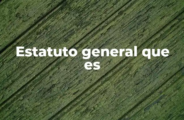 Estatuto General que es